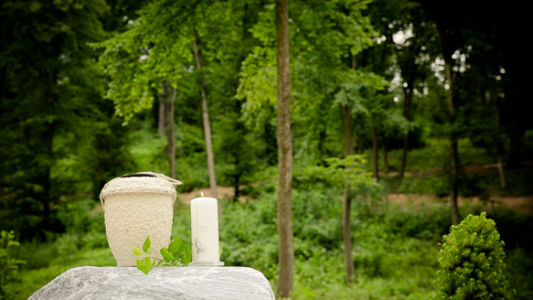 Der Wald als letzte Ruhestätte